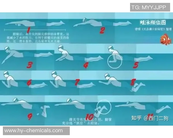 自由泳初学者快速入门技巧与训练方法提升游泳水平的实用指南