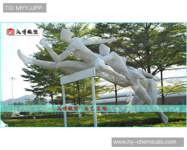 竞技体育在现代社会中的文化价值与社会意义探析 竞技体育在现代社会中的文化价值与社会意义探析