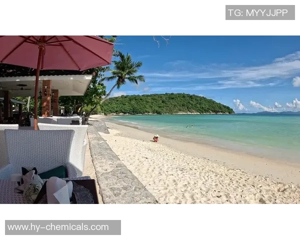 阳光沙滩与清凉泳池相伴打造理想度假胜地体验