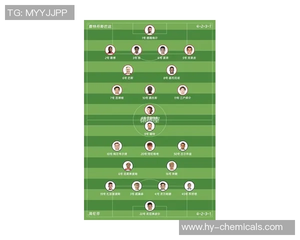 荷兰足球甲级联赛概览与球队实力分析：传统豪门与新兴力量的较量
